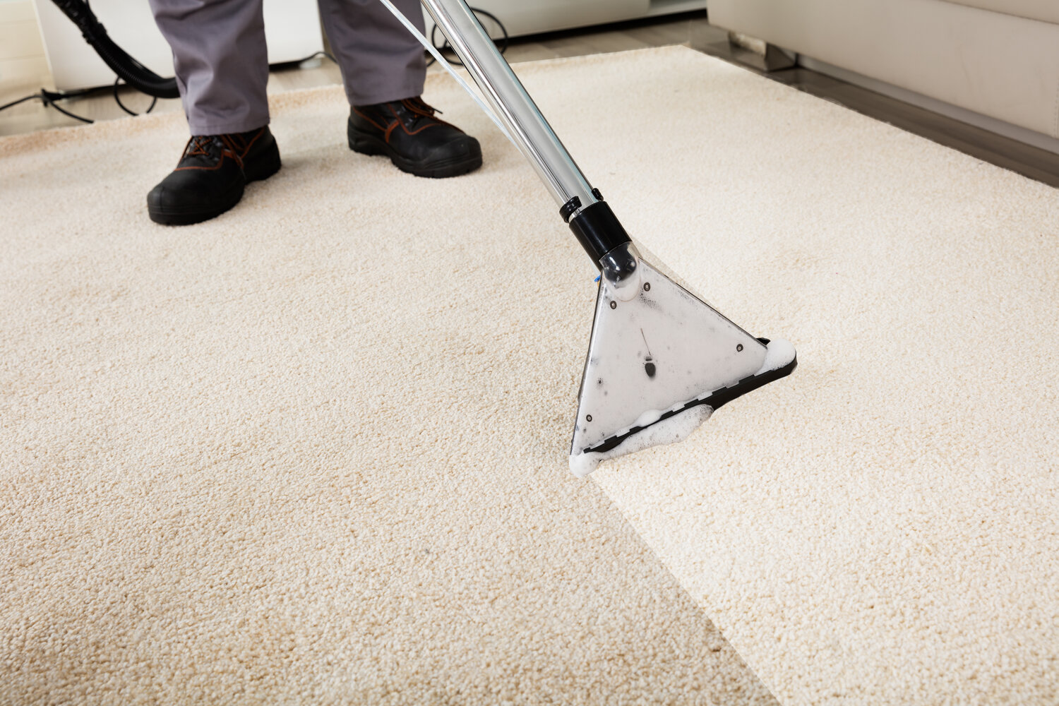  Hot Carpet Cleaning 